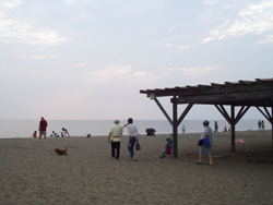 a0060003_6463145.jpg
