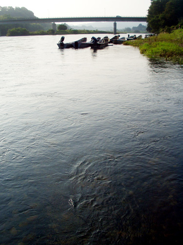 a0060003_6464882.jpg