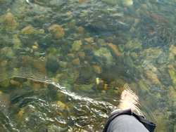 a0060003_647496.jpg