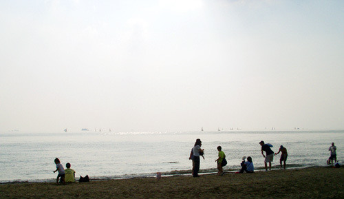 a0060003_92796.jpg