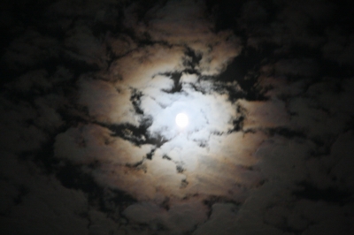 e0092203_21482663.jpg