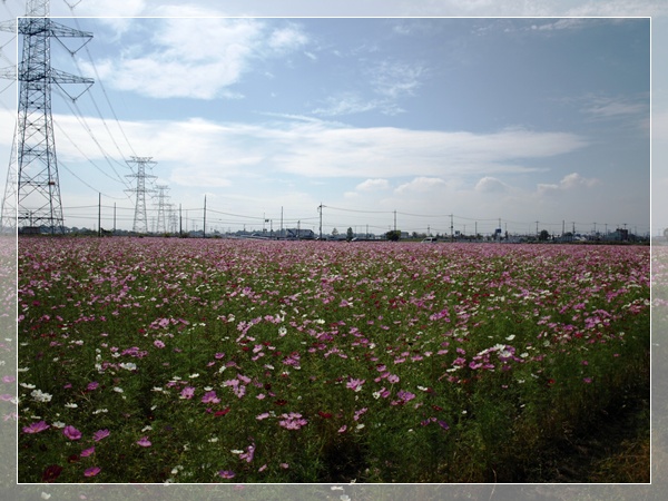 d0028304_14204027.jpg