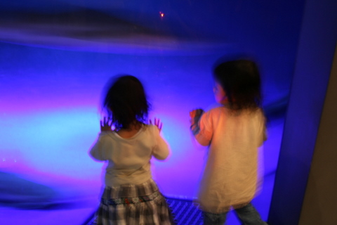 a0093509_2153151.jpg