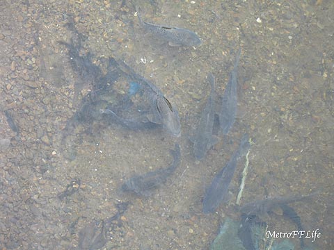 e0112722_2003438.jpg