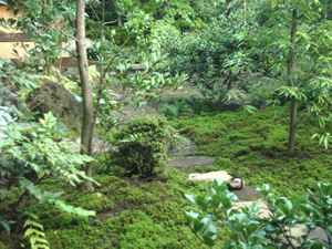 f0147922_0111783.jpg