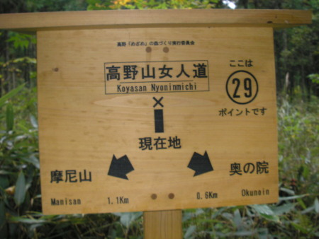 a0048823_141936.jpg