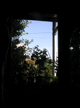 f0128723_23183721.jpg