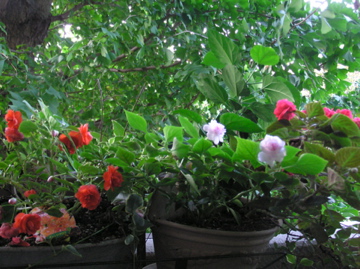 f0128723_23272852.jpg