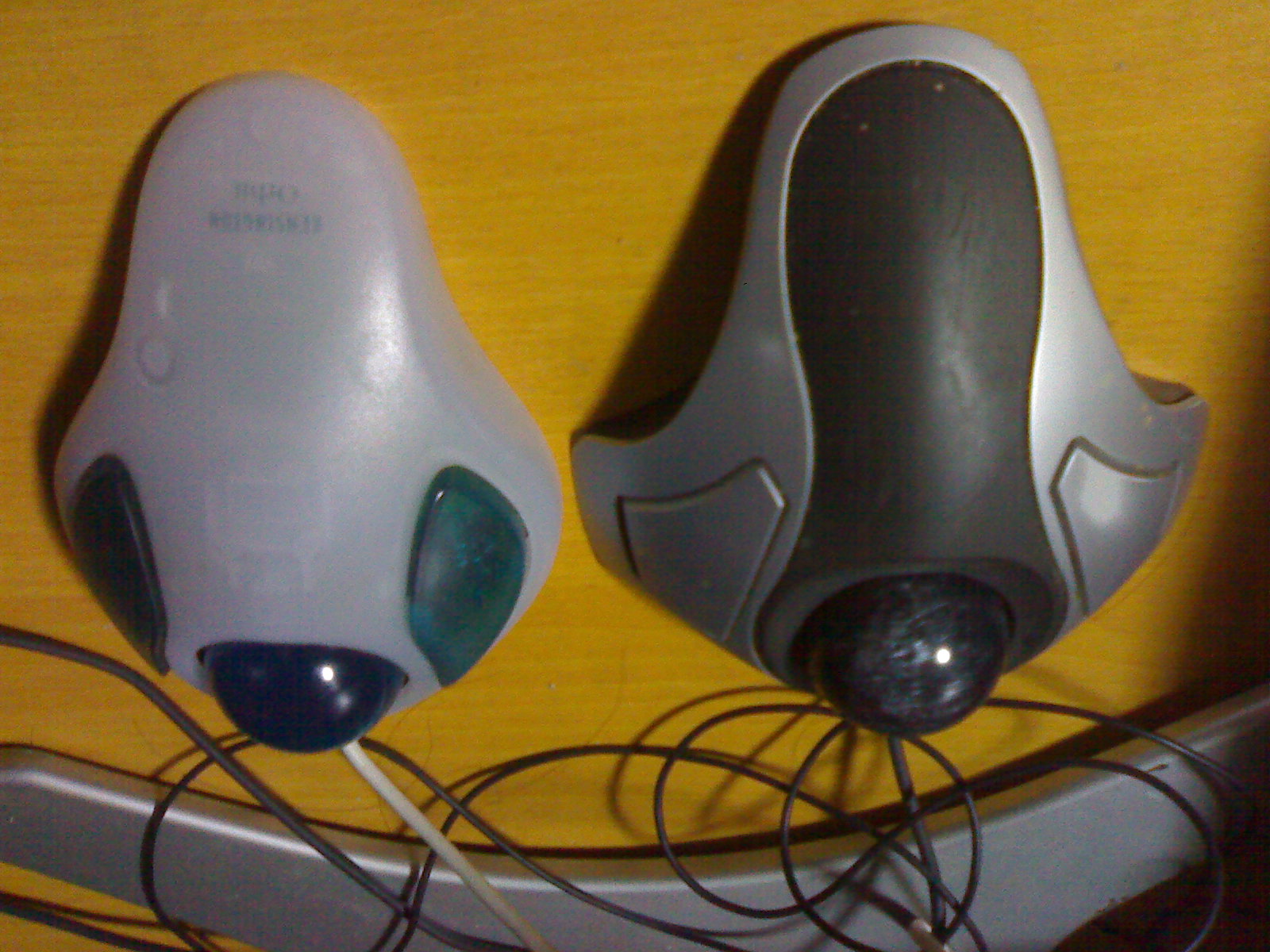 b0114524_1382663.jpg