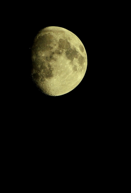 d0145934_7451818.jpg