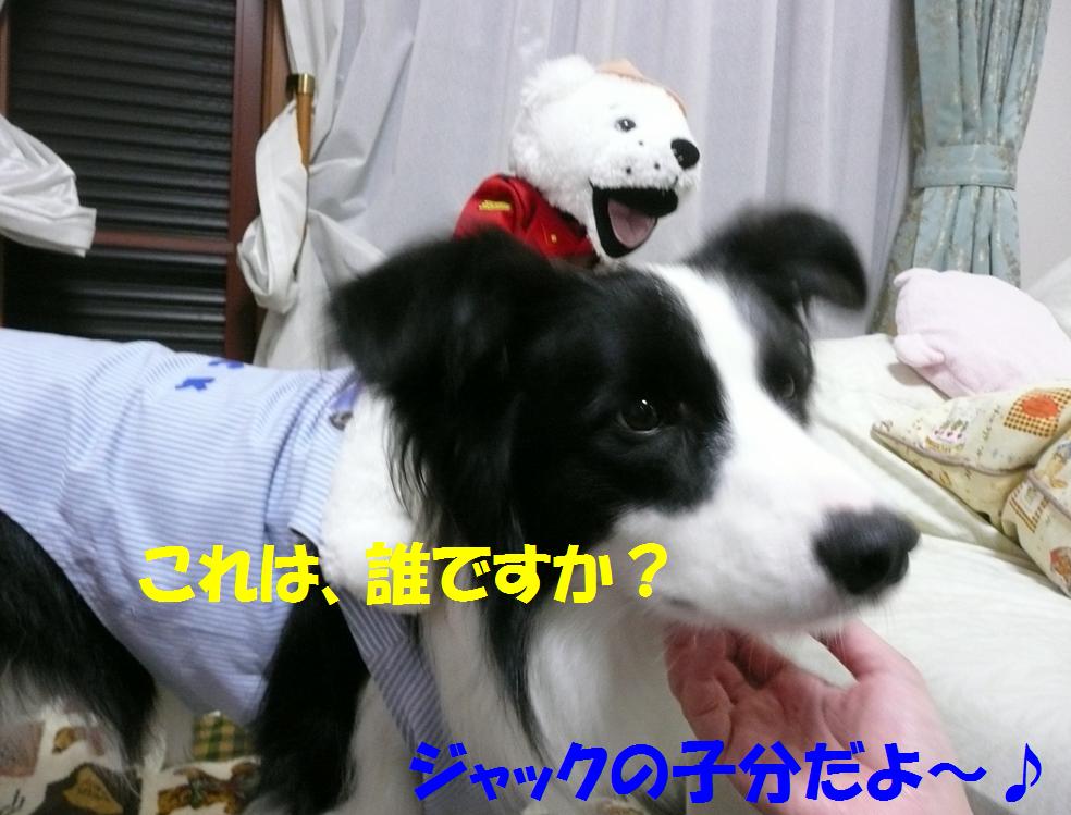 c0147241_2254534.jpg