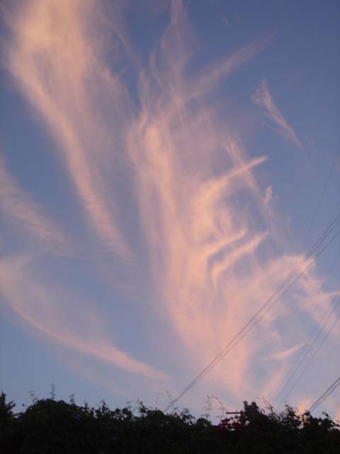 f0198556_13141181.jpg