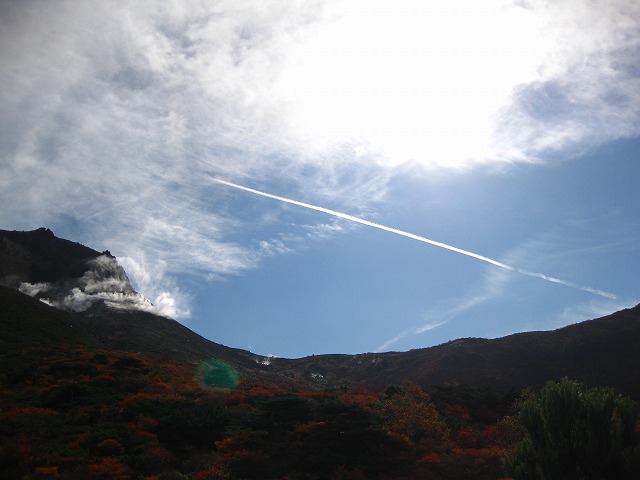 d0089058_21162221.jpg