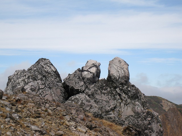 d0089058_21183533.jpg