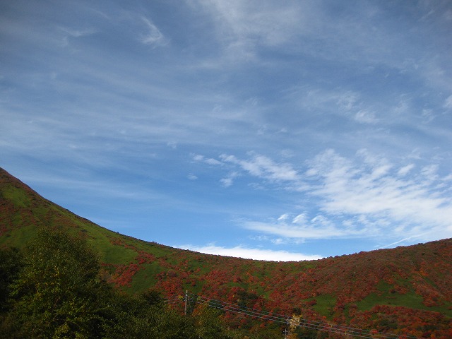 d0089058_21185888.jpg