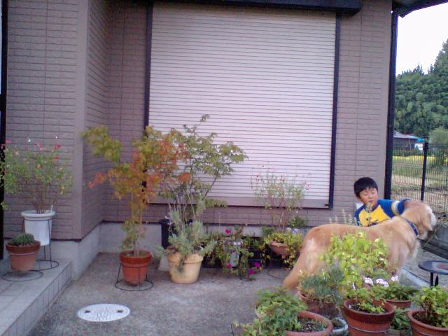 d0125059_17221461.jpg