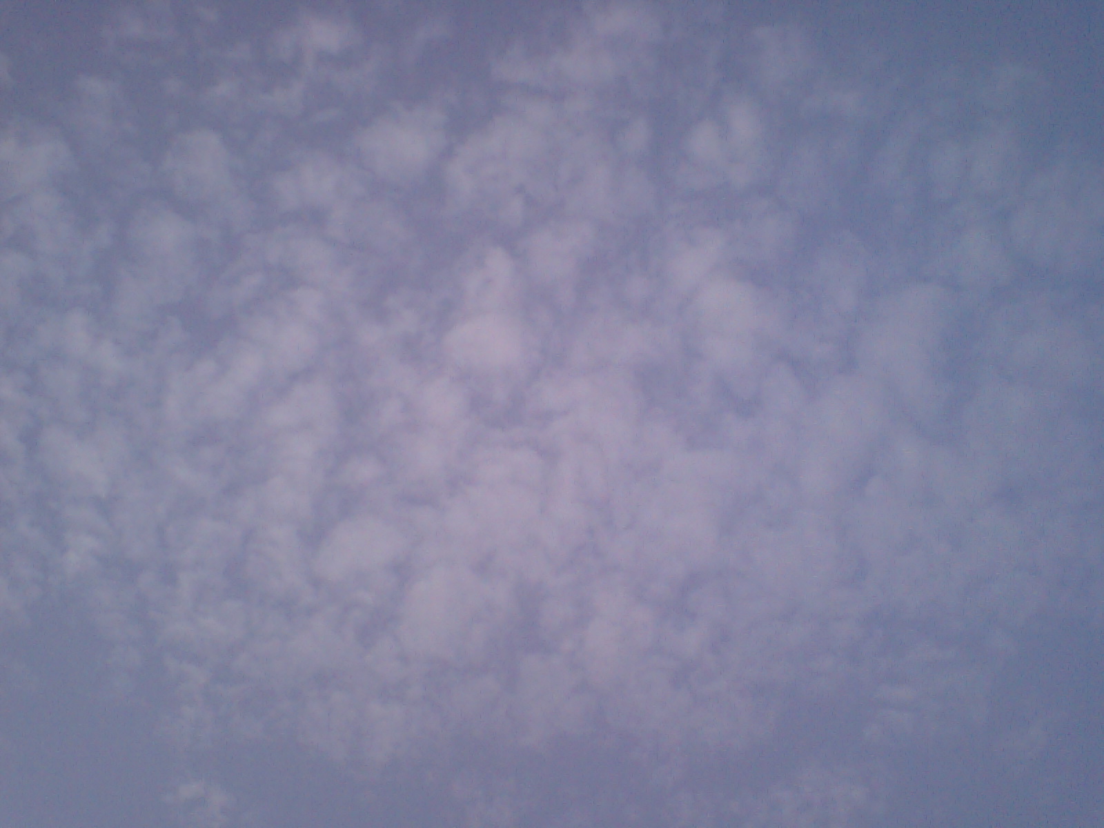 d0125059_17223238.jpg