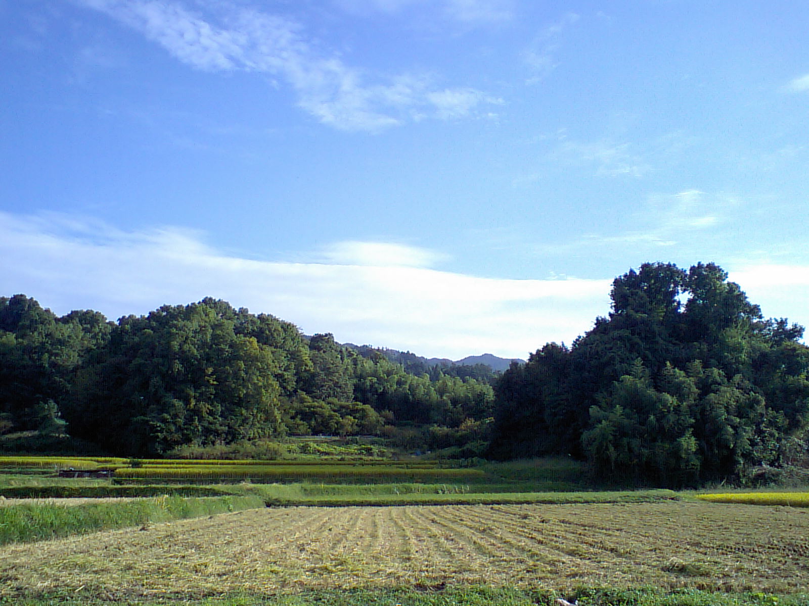 d0125059_1754173.jpg