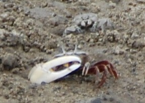 c0108460_1945215.jpg