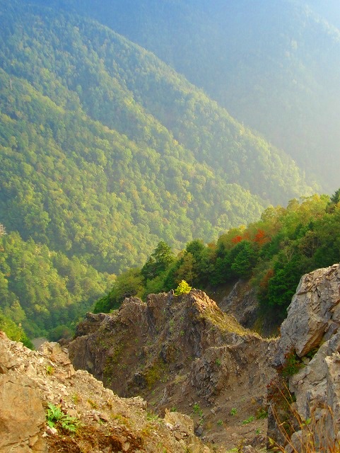 c0119160_730225.jpg