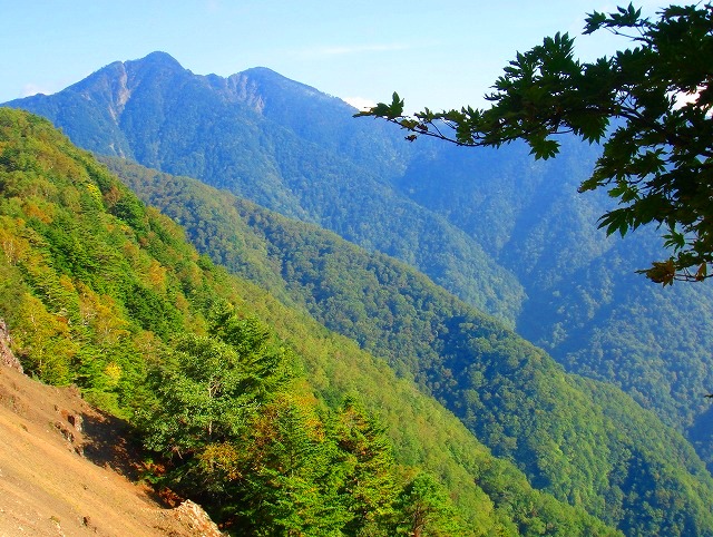 c0119160_7363043.jpg