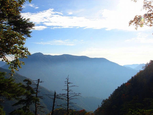 c0119160_7372079.jpg