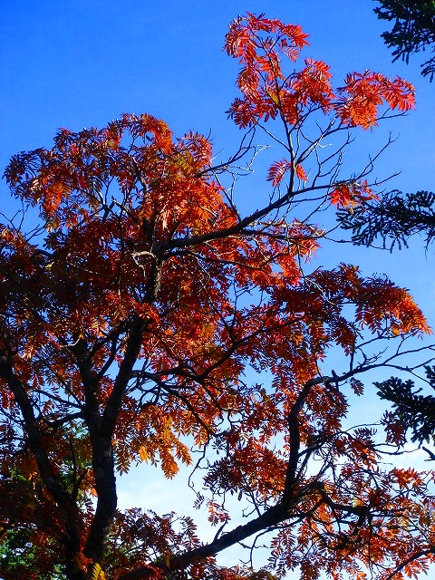 c0119160_740282.jpg