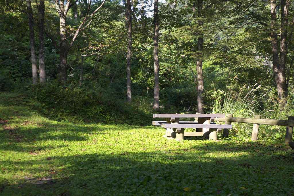 c0108863_18153823.jpg