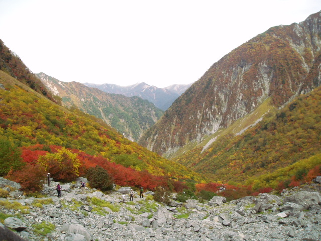 f0145963_1991159.jpg