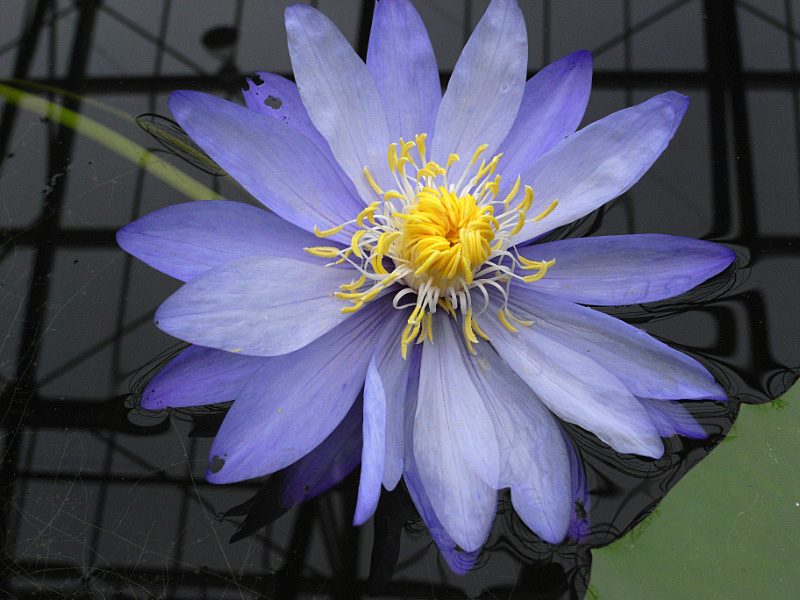 掛川花鳥園－５_e0100772_22285360.jpg