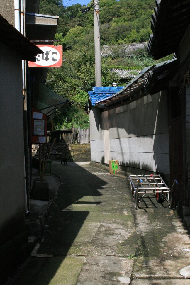 「男はつらいよ」ロケ地・琴島      　　　山の畑は今_a0107574_17435050.jpg