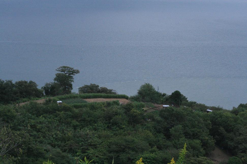 「男はつらいよ」ロケ地・琴島      　　　山の畑は今_a0107574_17444135.jpg