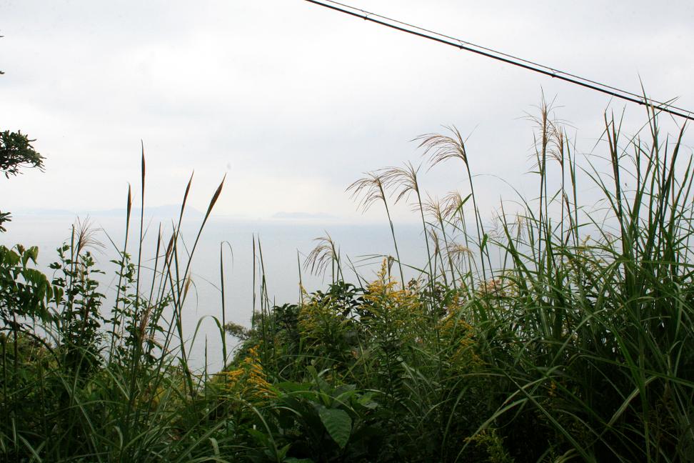 「男はつらいよ」ロケ地・琴島      　　　山の畑は今_a0107574_1745118.jpg