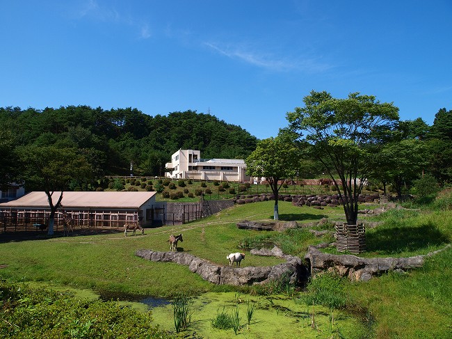 b0145677_21511710.jpg