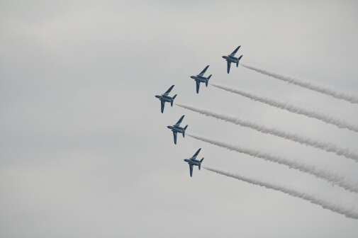 c0073377_645559.jpg