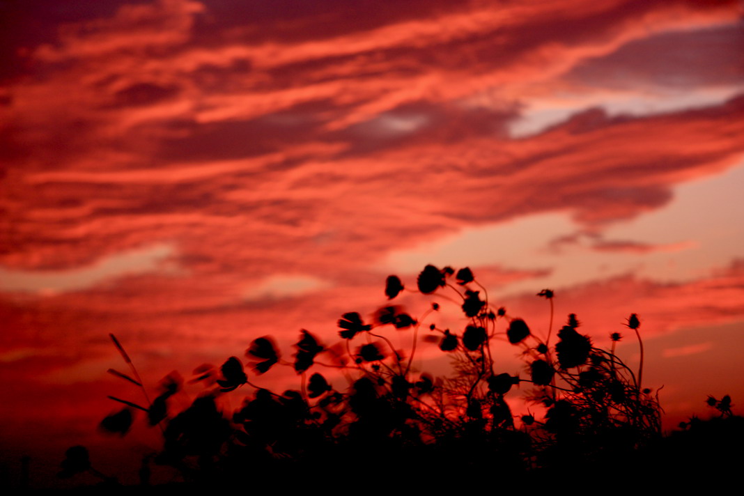 b0093678_0125540.jpg