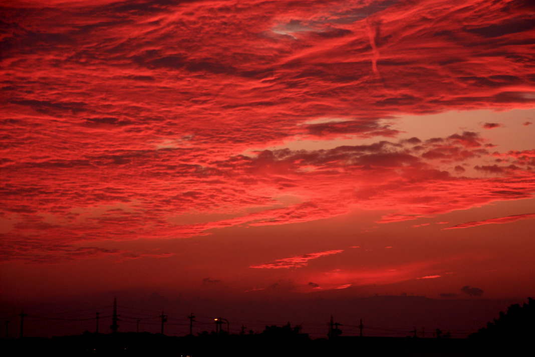 b0093678_084795.jpg