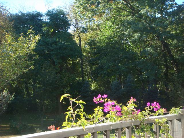 d0100880_20443754.jpg