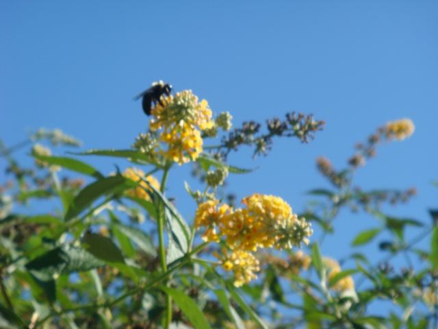 d0100880_22441754.jpg