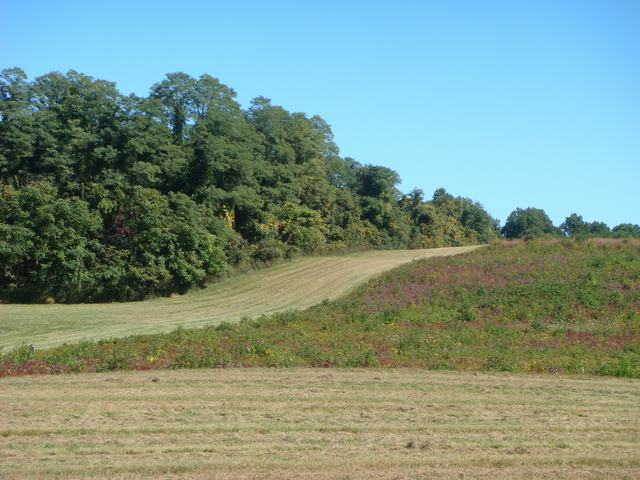 d0100880_22543414.jpg
