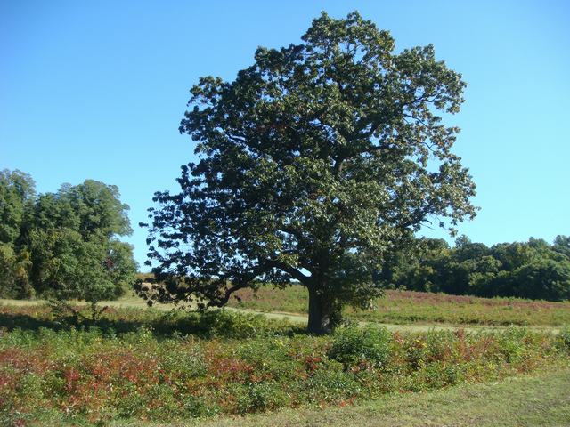 d0100880_233121.jpg