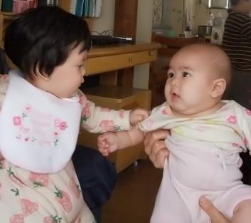 いとこの赤ちゃんがくれた草