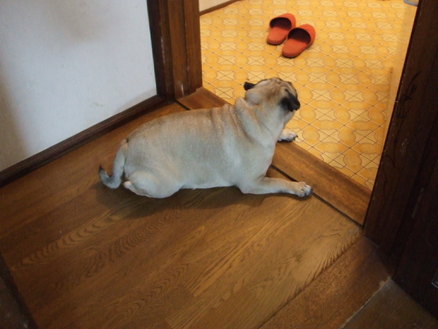 f0019498_22491721.jpg