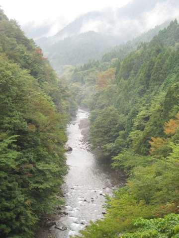 b0097200_1113838.jpg