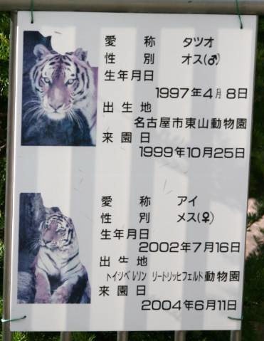 c0155902_921272.jpg