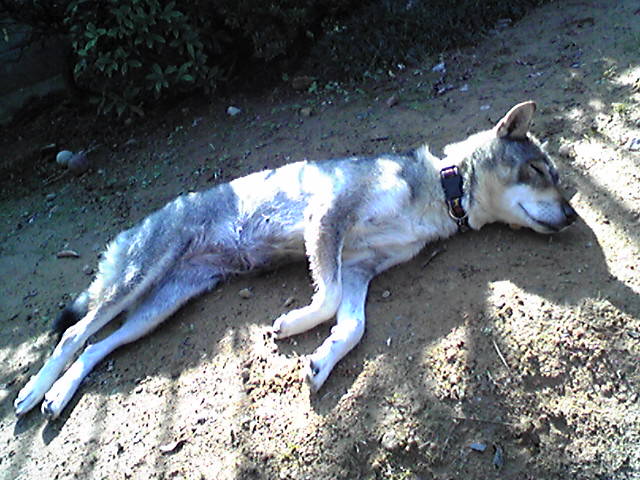 f0079202_2061451.jpg