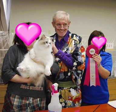 ECC CAT SHOW_e0033609_1395747.gif