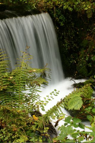 b0053414_11321850.jpg