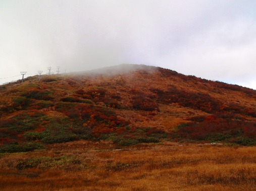 c0177814_1042408.jpg