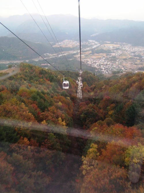 c0177814_11543674.jpg